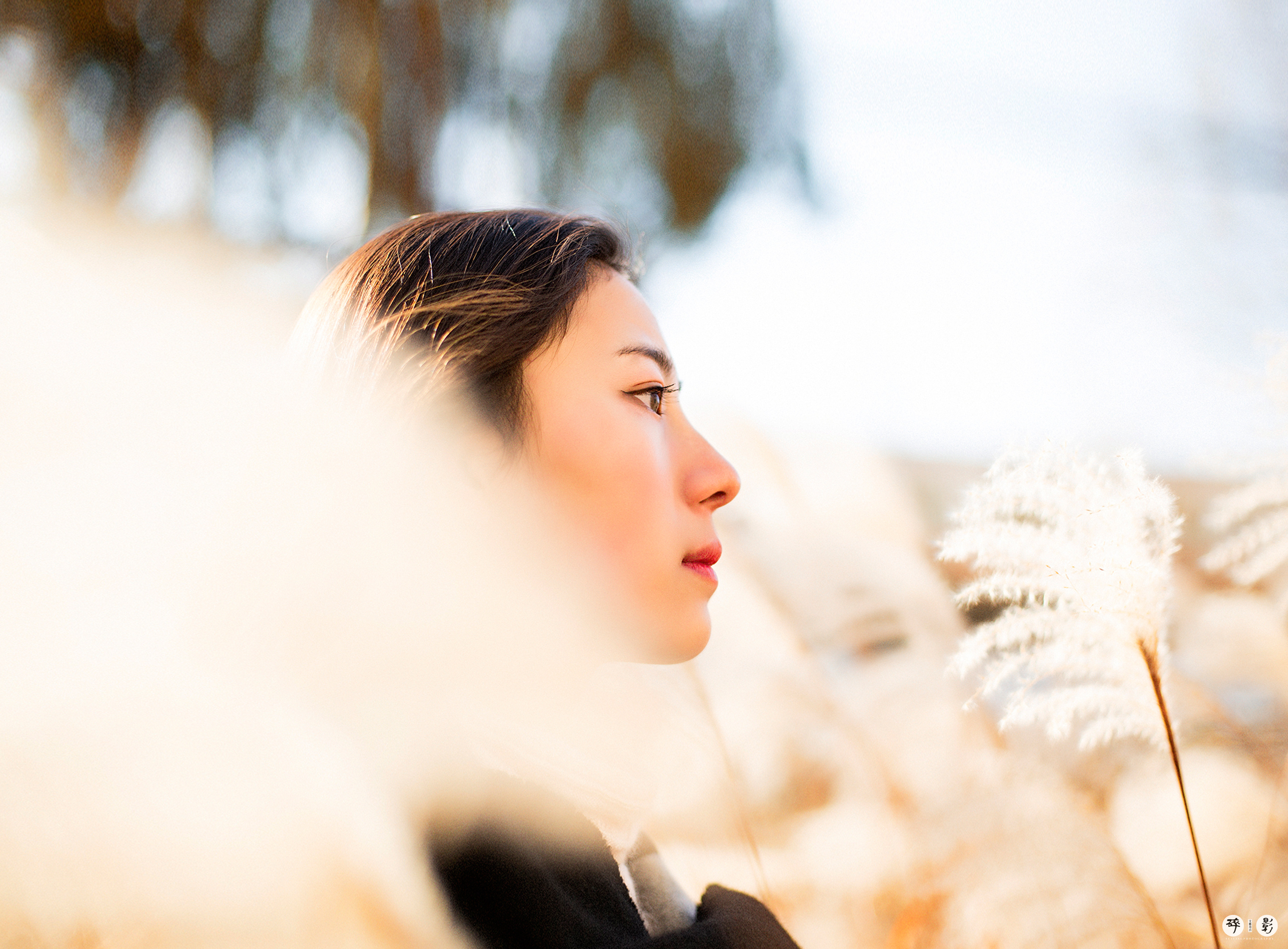 芦苇荡的少女