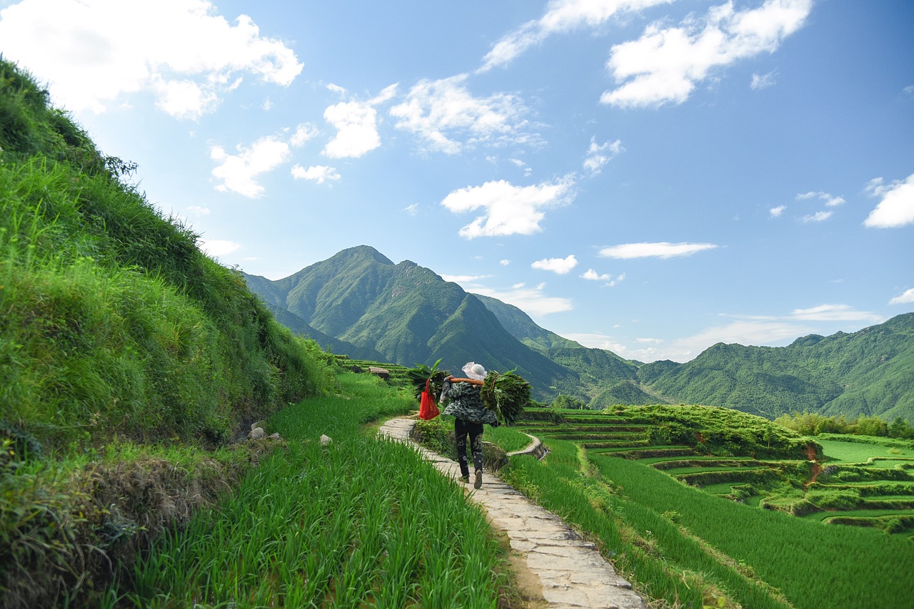 无题（图ZNTY5NzkyNzY=） - 风光摄影 - 站酷设计师素直子桑原创素材 - 站酷ZCOOL