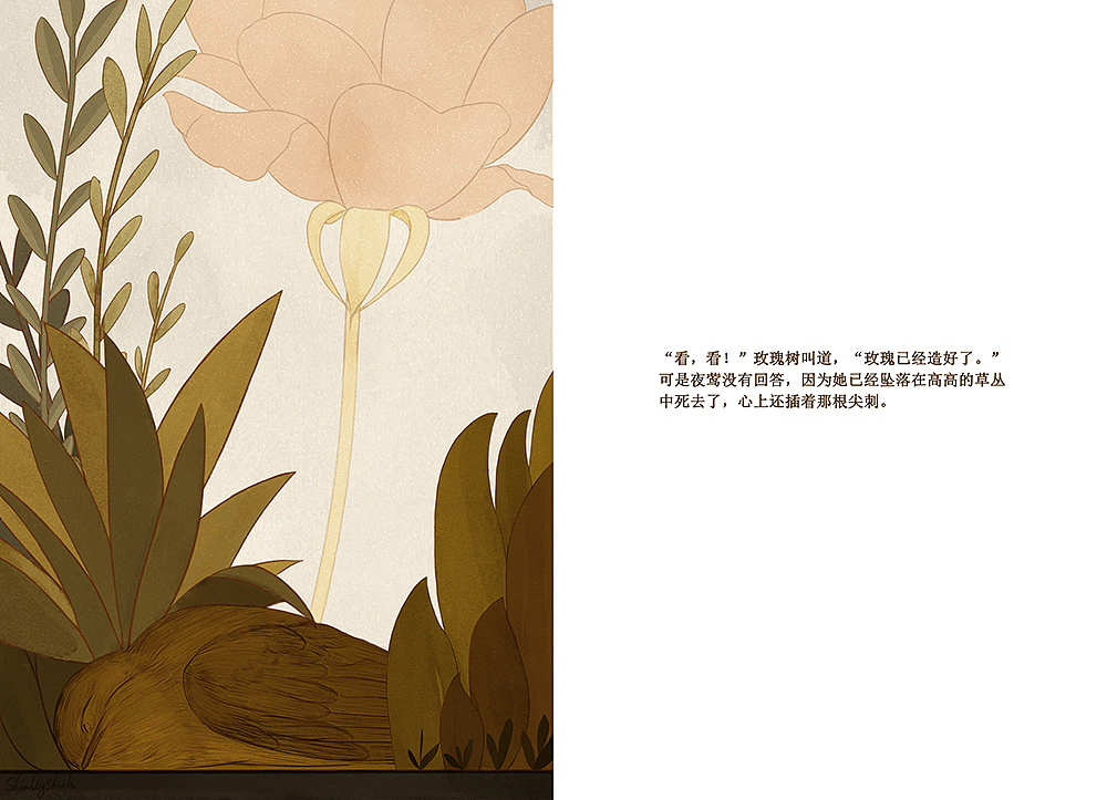 《夜鶯與玫瑰》繪本插圖（圖ZMjkzNDQzMDQw） - 繪本 - 站酷設(shè)計(jì)師ShirleyShieh原創(chuàng)素材 - 站酷ZCOOL