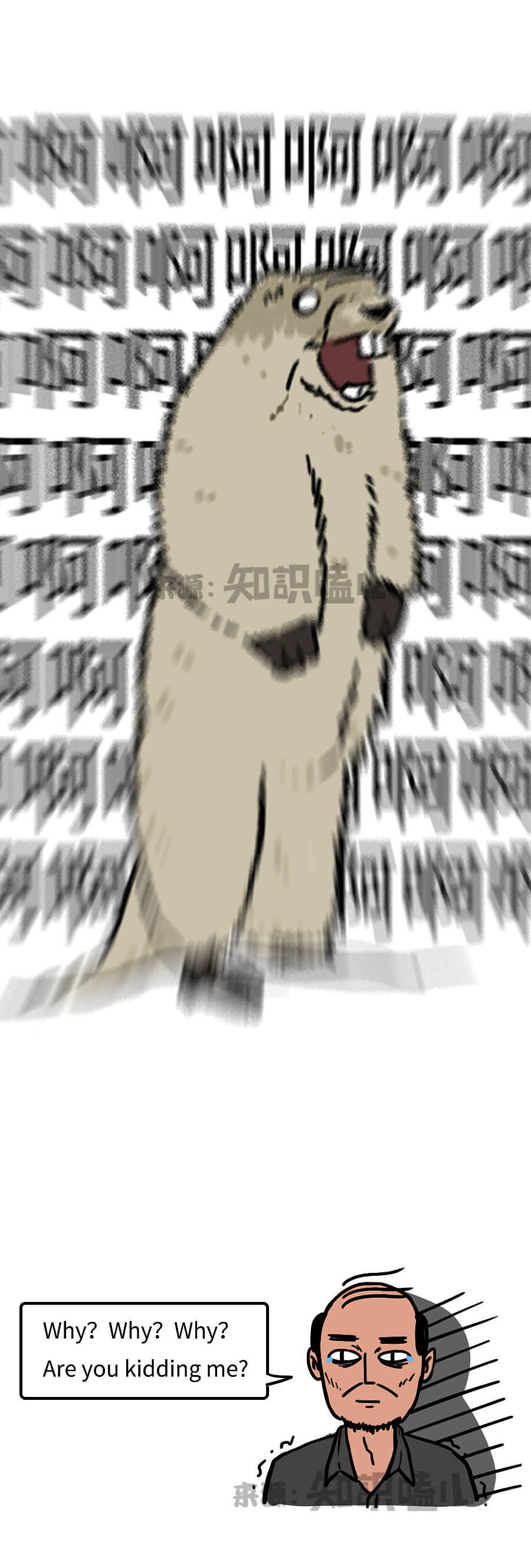 驾校潜规则：你给教练送过中华么？（图ZMTcyOTI5Mjgw） - 中/长篇漫画 - 站酷设计师知识嗑儿原创素材 - 站酷ZCOOL