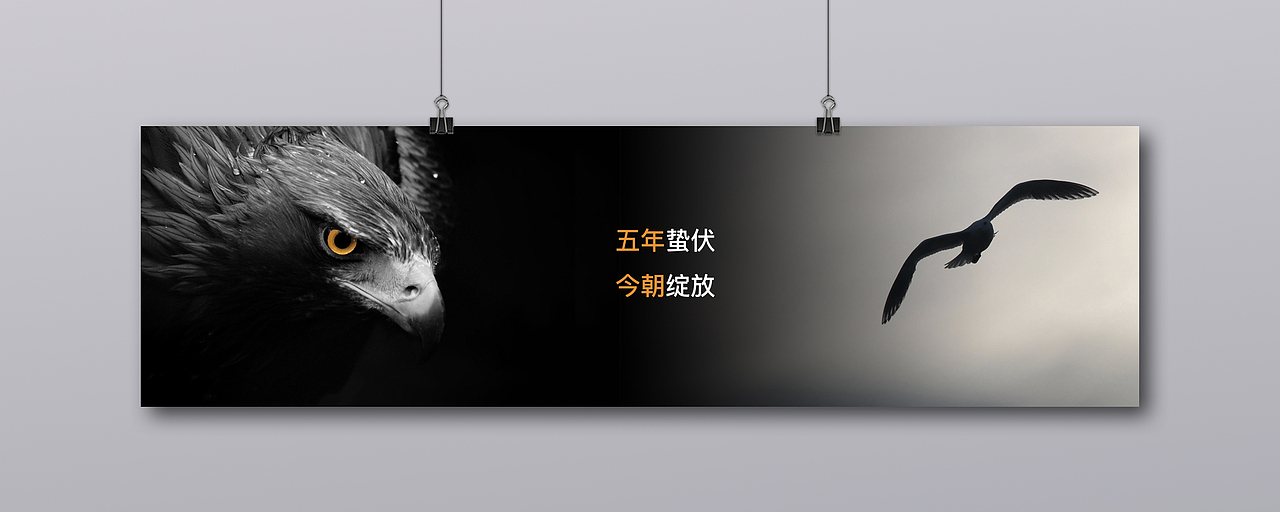 2017,斐哥团队作品精选集首度公开