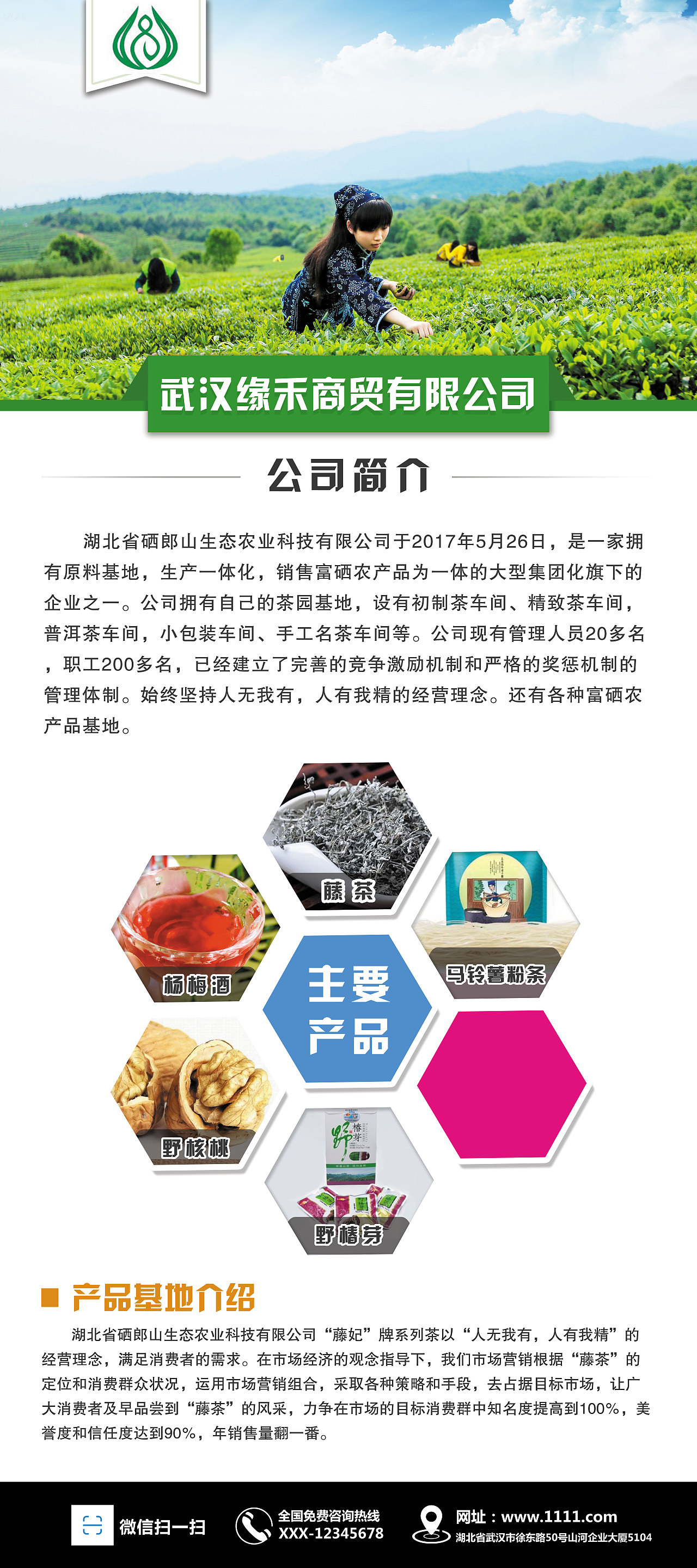 公司X展架（图ZMTEzNjEzMzY4） - 其他平面 - 站酷设计师SMZoeZhang原创素材 - 站酷ZCOOL