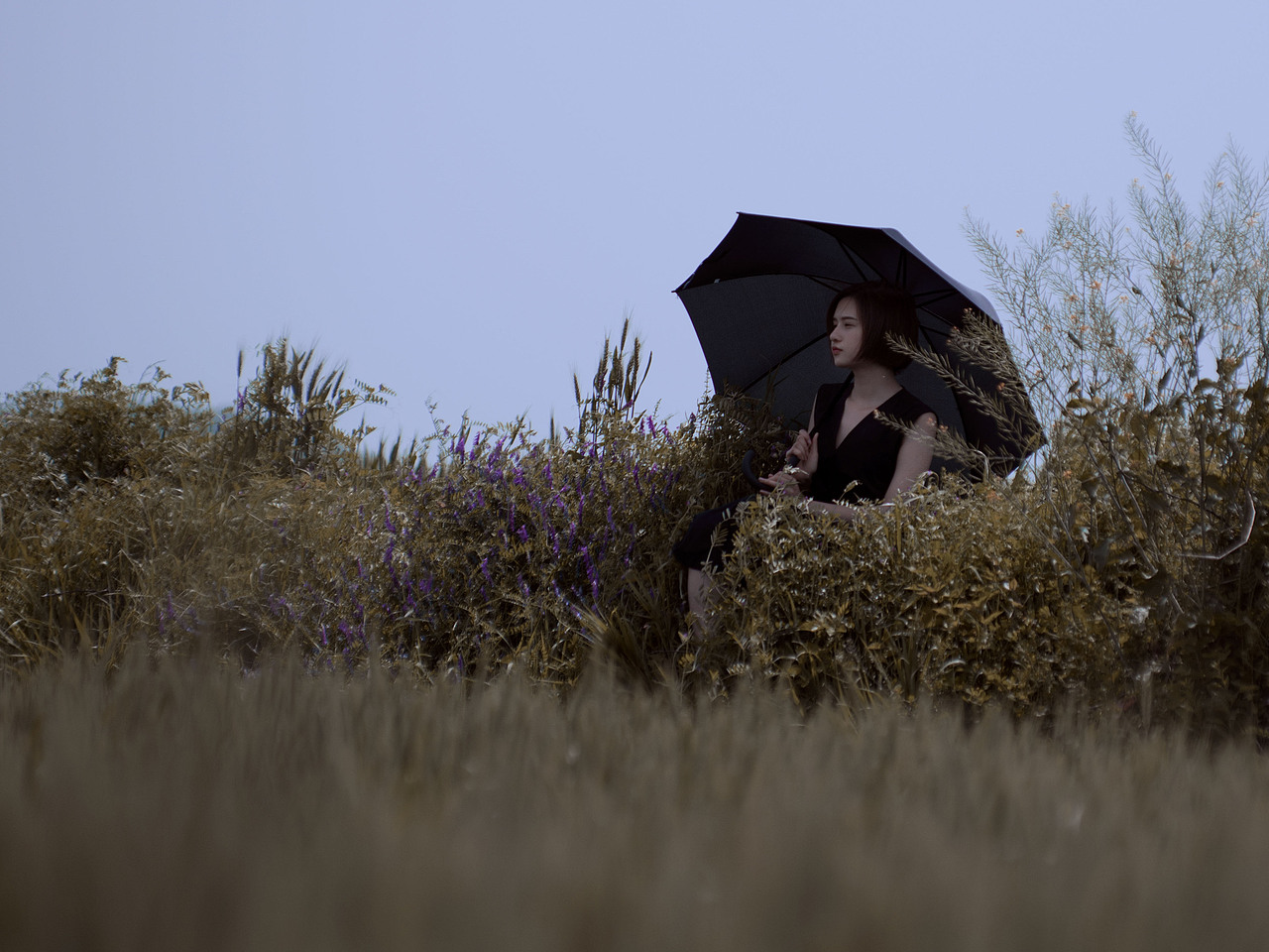 伞下又是一个雨天