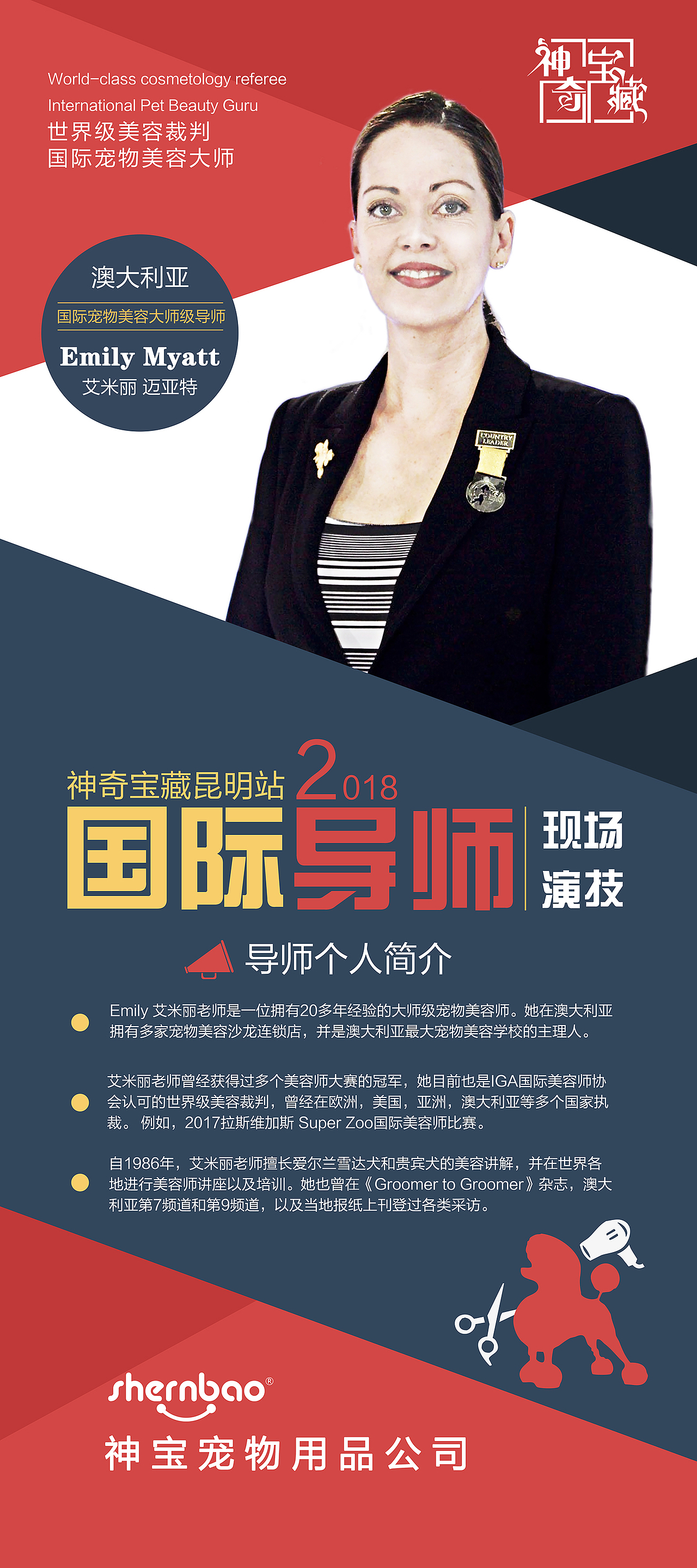 人物介绍简洁易拉宝