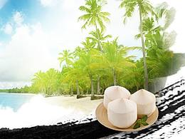 海南农产品banner