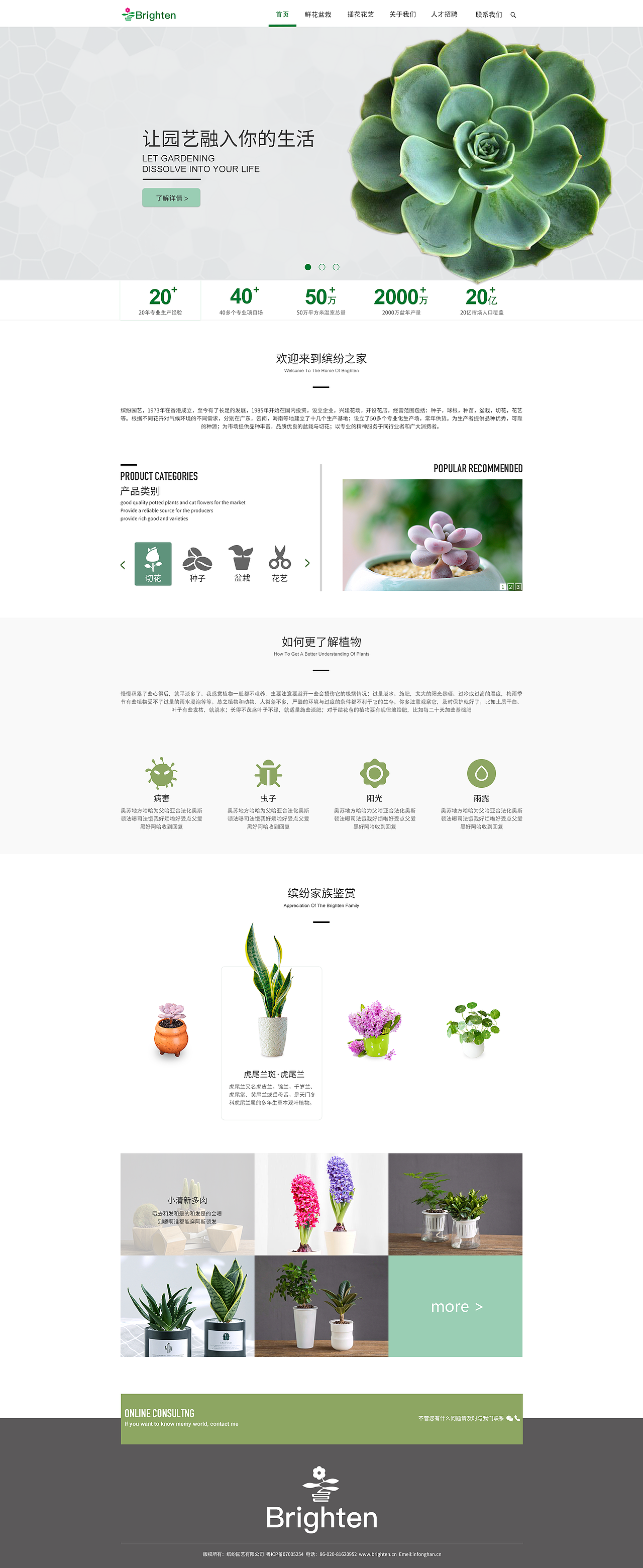 花卉类官网（图ZMTIxNjM5MTg4） - 企业官网 - 站酷设计师牟健原创素材 - 站酷ZCOOL