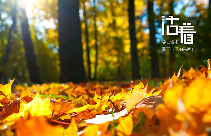 个人字体设计练习（图ZNzkxNTIxNg==） - 字体/字形 - 站酷设计师Kids小志原创素材 - 站酷ZCOOL