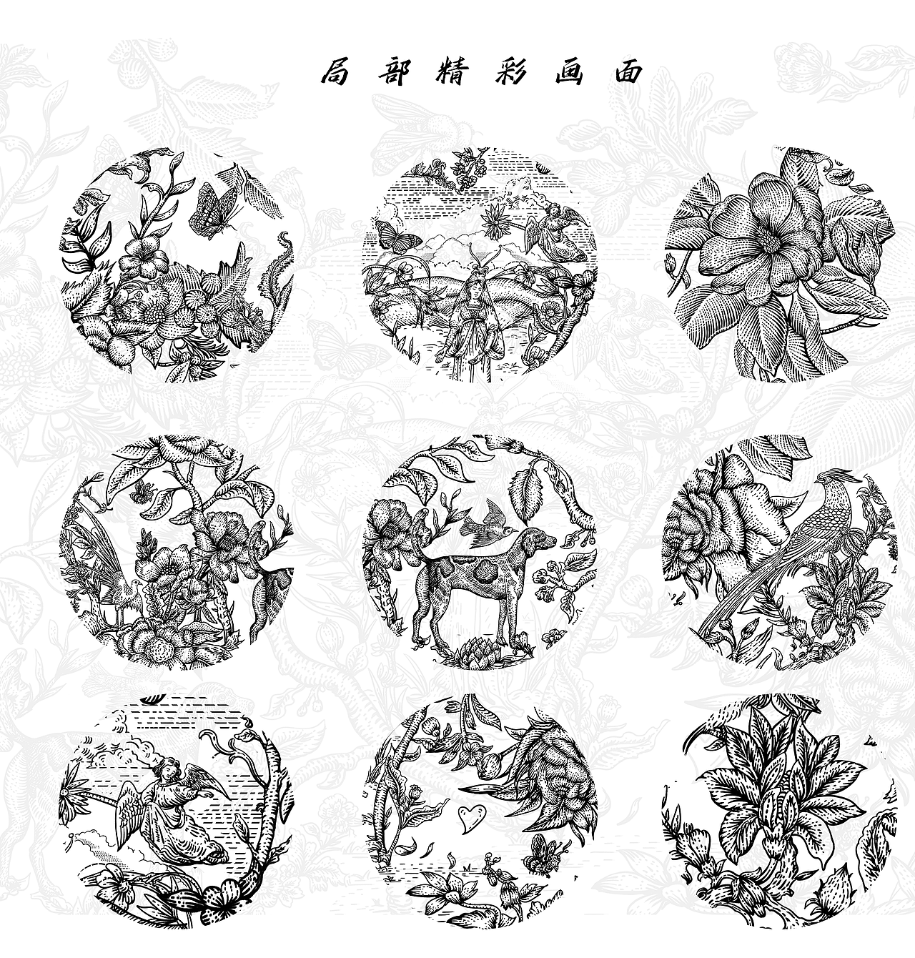 翱翔那个安静和谐森林家园