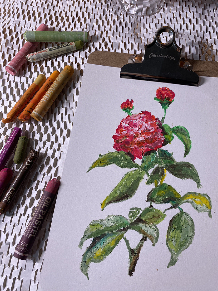 油画棒手绘｜花卉速涂🥰（图ZMzI0OTAyNTc2） - 绘画 - 站酷设计师Indeepmood原创素材 - 站酷ZCOOL