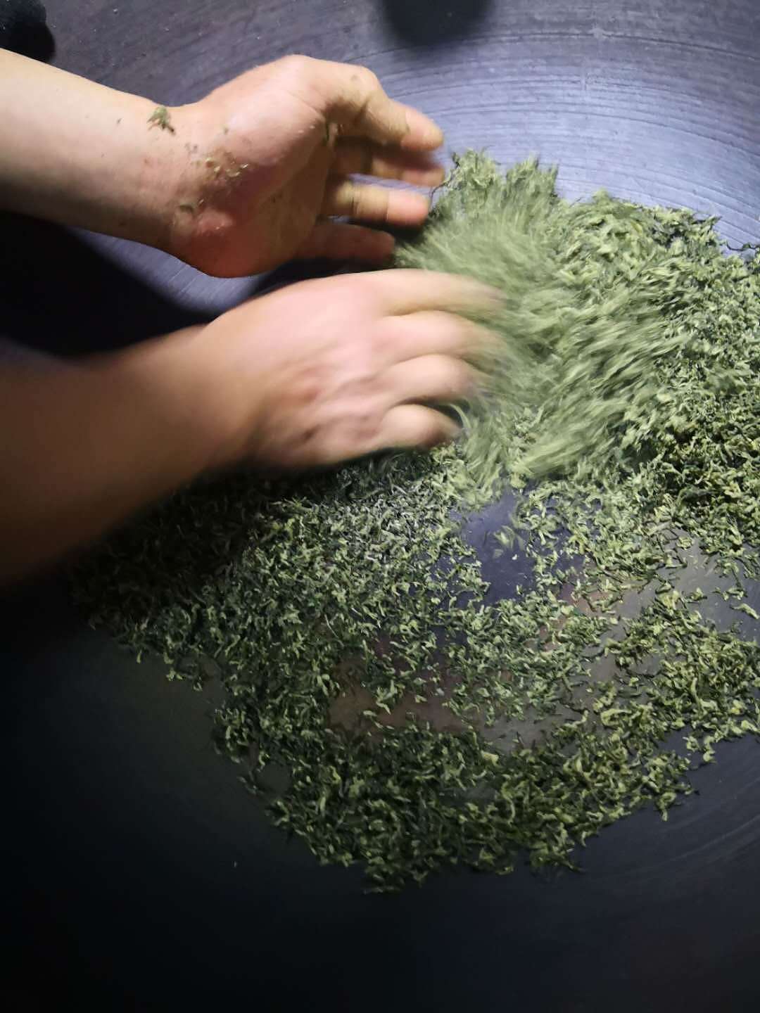 茶叶制作工艺图 制茶流程 高清图片|摄影|产品摄影|张跑跑 - 原创作品 - 站酷 (ZCOOL)