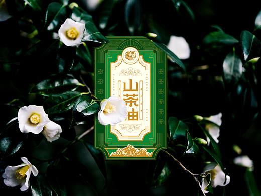 山茶油瓶标签