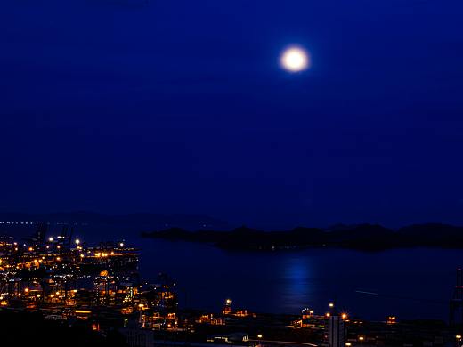 港口的月光