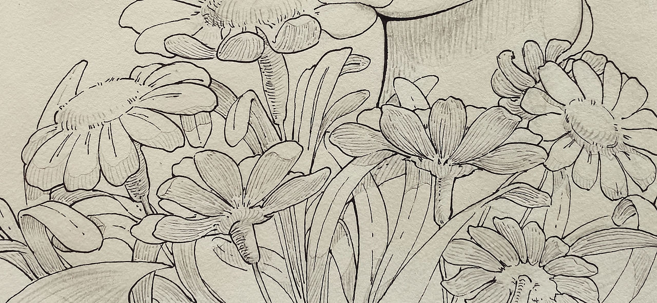 夏花与少女（图ZMjExNTE4NDAw） - 创作习作 - 站酷设计师周哒哒原创素材 - 站酷ZCOOL