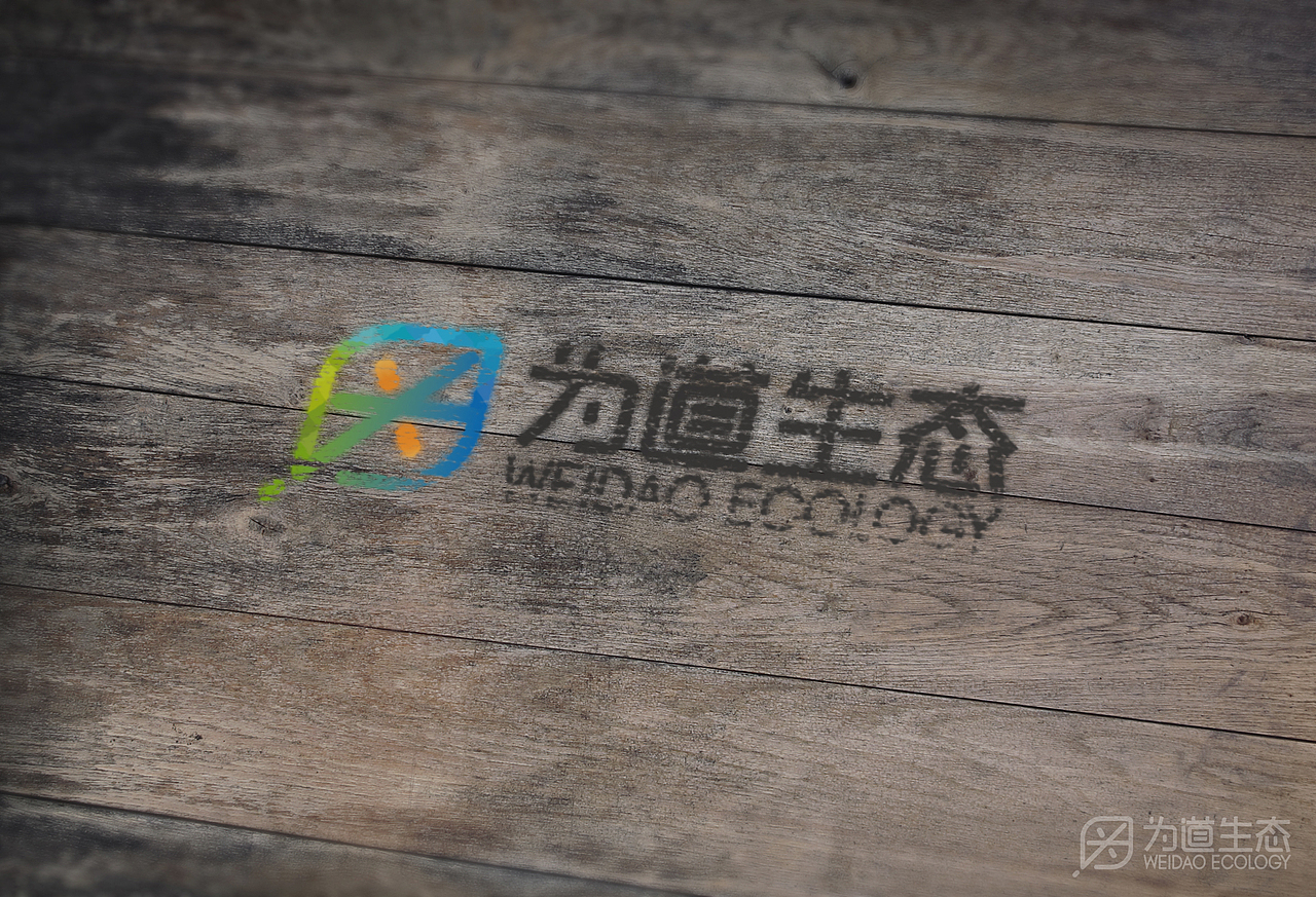为道生态logo设计（图ZNzY5NDU1Njg=） - Logo - 站酷设计师BURNING博宁原创素材 - 站酷ZCOOL
