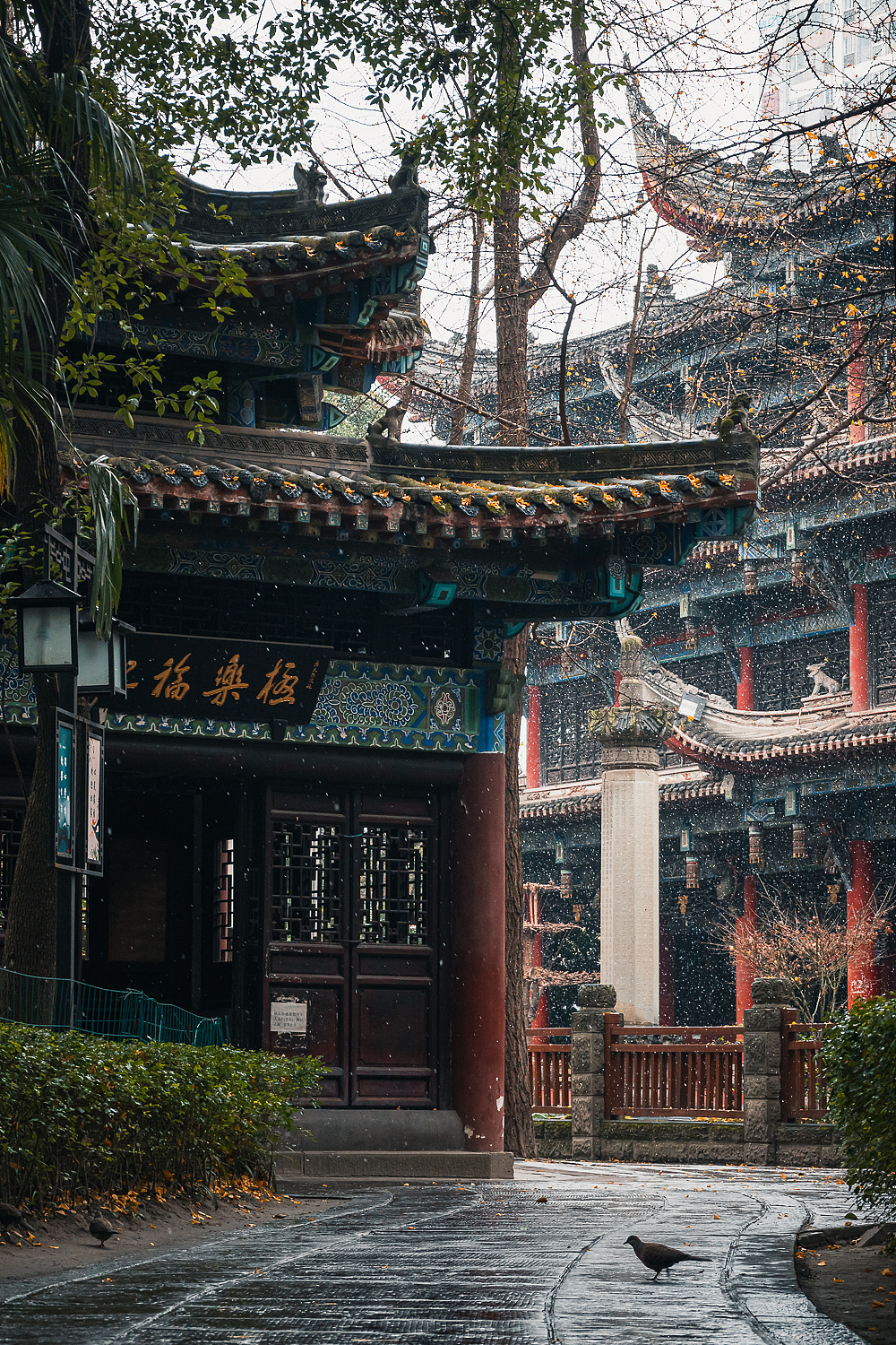 成都文殊院里的故宫感