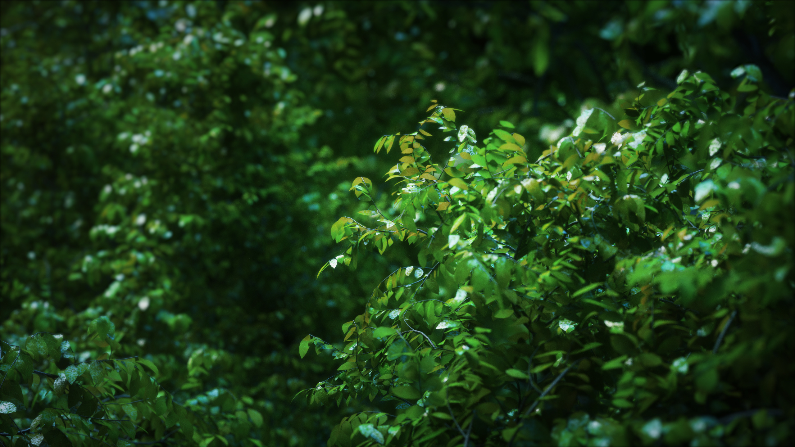 六条线的个人主页（封面预览） - 主页封面设置 - 站酷设计师六条线原创素材 - 站酷ZCOOL