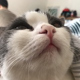 八一的老郭的头像