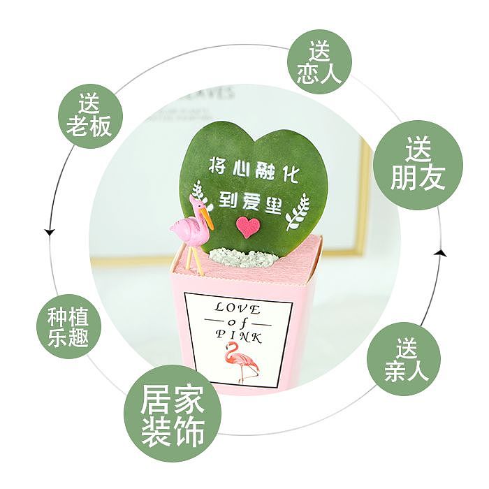 植物详情页（图ZMjA0NjA0OTIw） - 宣传物料 - 站酷设计师梁小样孒原创素材 - 站酷ZCOOL