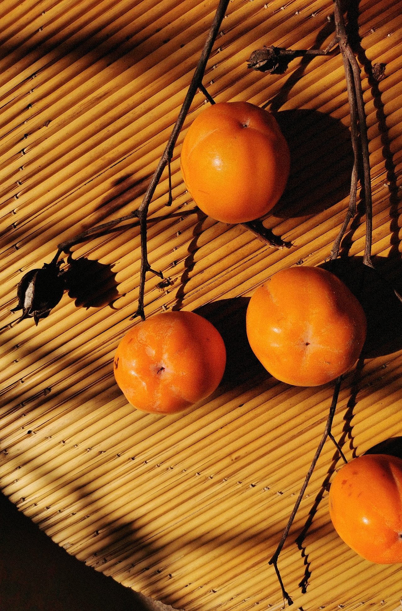 当午后的阳光遇到秋天的红柿（图ZMzE4MDk3MTE2） - 美食摄影 - 站酷设计师像风一样自由的原创素材 - 站酷ZCOOL