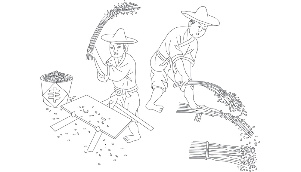 摔水稻|插画|商业插画|益人手绘 - 原创作品 - 站酷 (zcool)