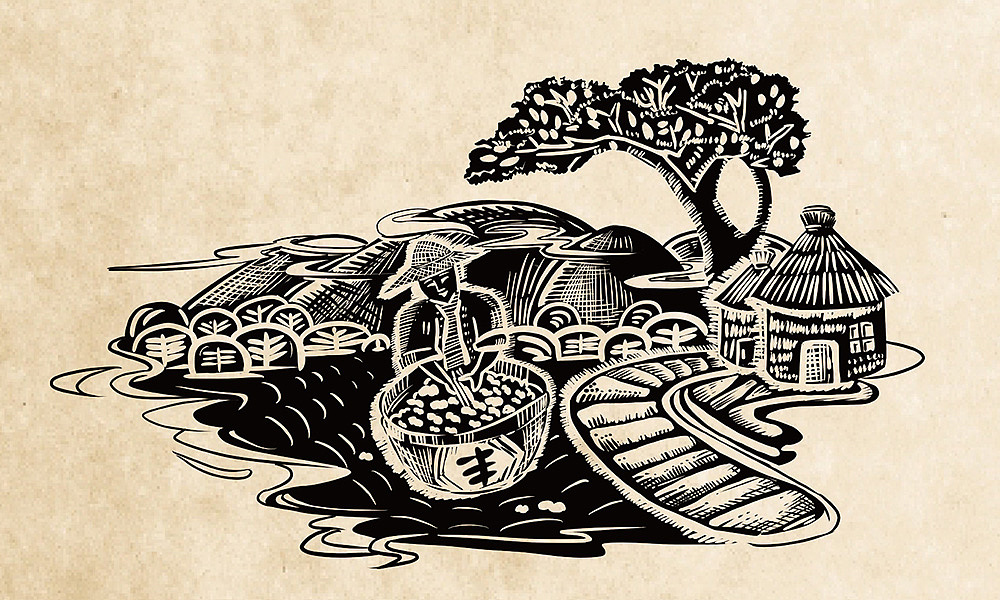 鲁派花生油包装升级