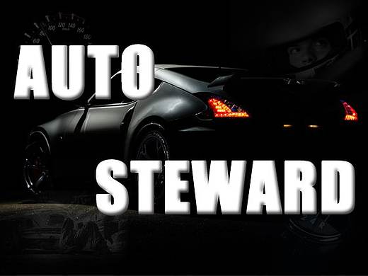 车管家 AUTO STEWARD
