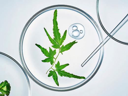 精华 ✖ 泽西摄影 | 新美妆视觉
