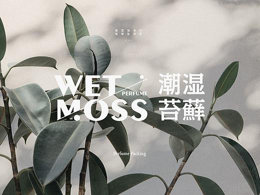 潮湿苔藓品牌LOGO