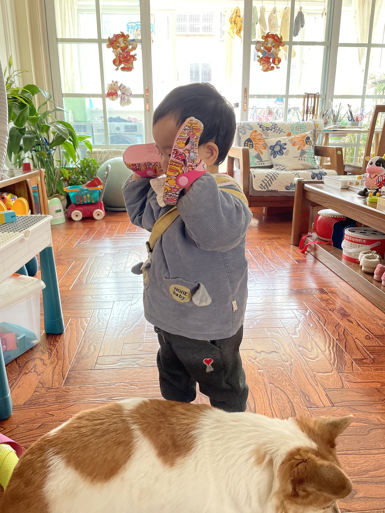 我的可爱小宝贝