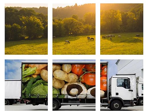 食品溯源案例-钱大妈