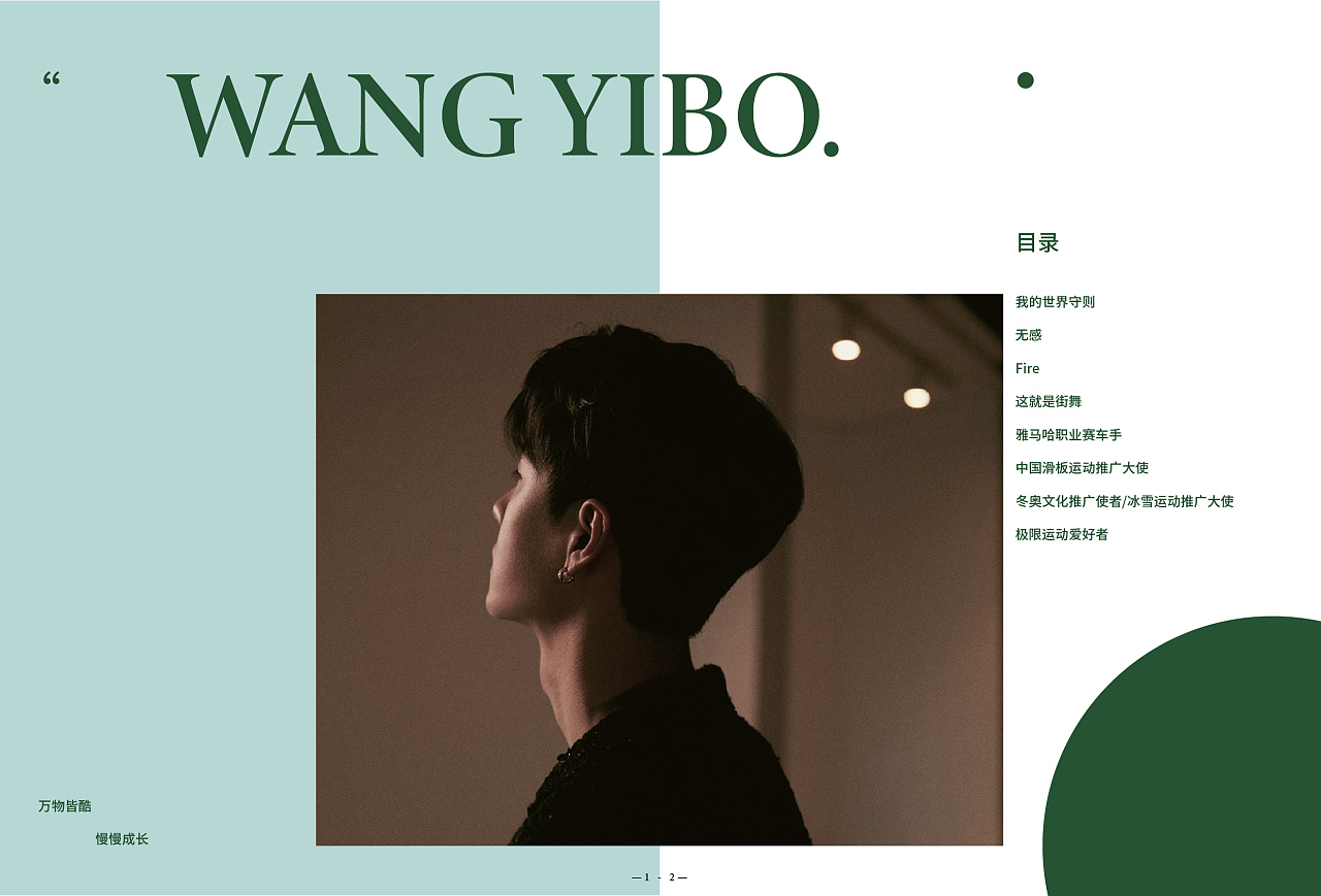 明星画册(王一博)