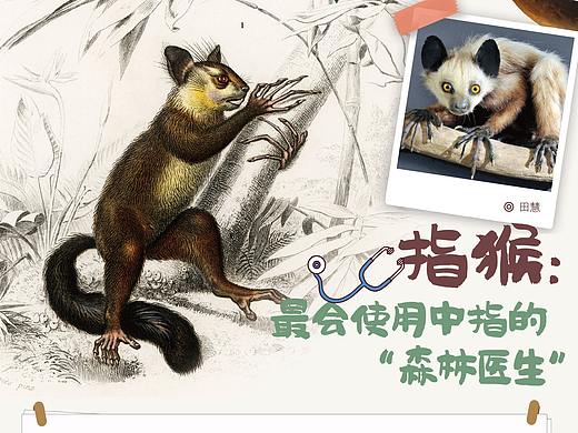 大连出版社杂志刊物内页