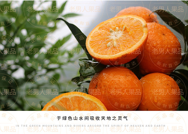 沃柑详情页（图ZMTAyNzgxODk2） - 宣传物料 - 站酷设计师邱公城原创素材 - 站酷ZCOOL