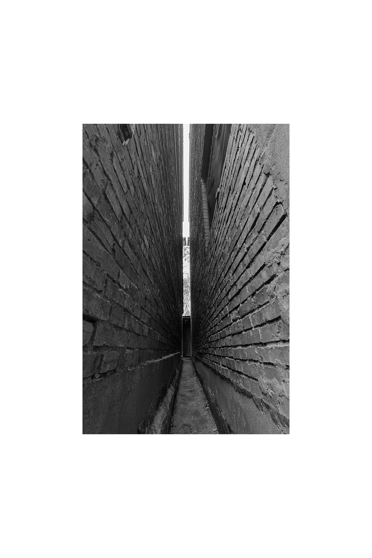 2021 | 我的年度手机照片总结