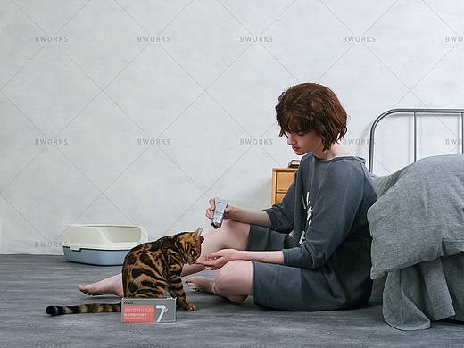 宠物产品拍摄-vetpet