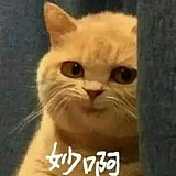 八千李路云和月的头像