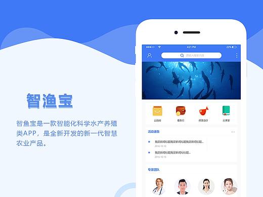 智鱼宝