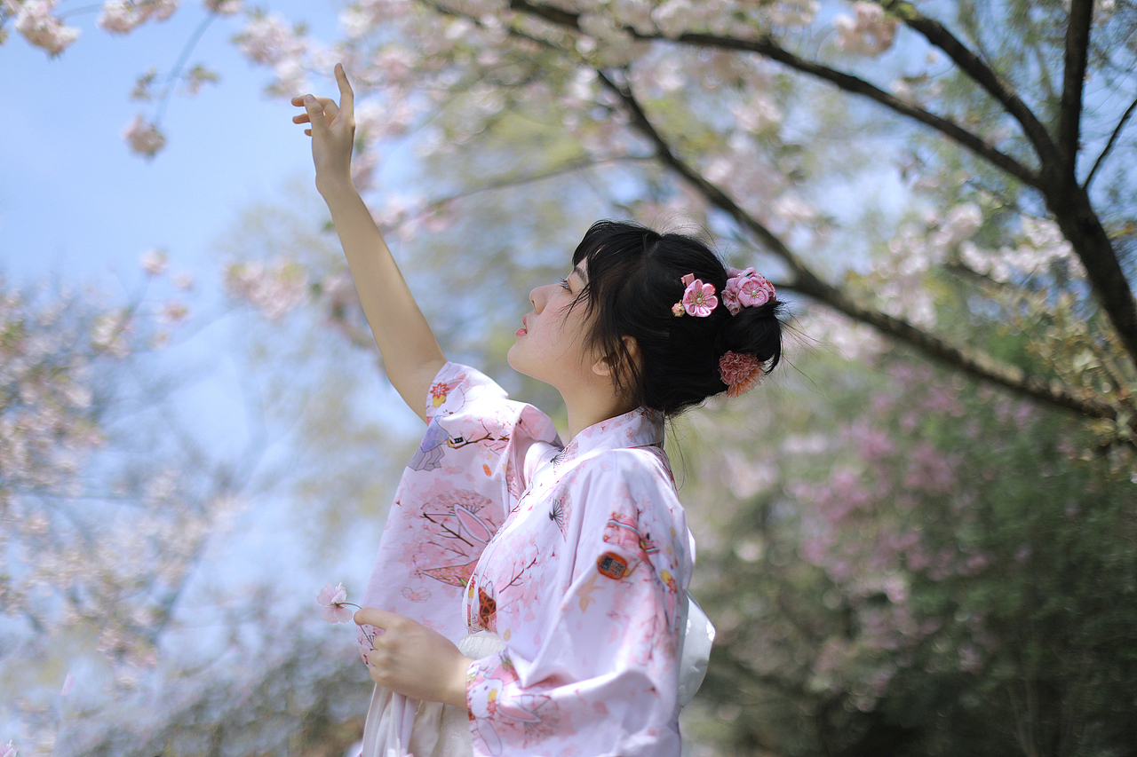 樱花树下（图ZMjUyODAwNTgw） - 人像摄影 - 站酷设计师太阳酱Catnip原创素材 - 站酷ZCOOL