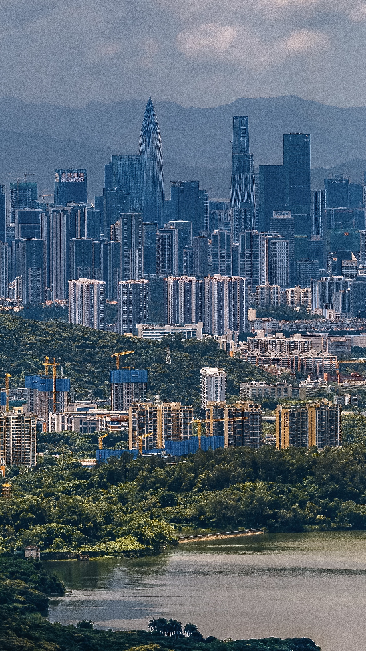 深圳湾全景纪实