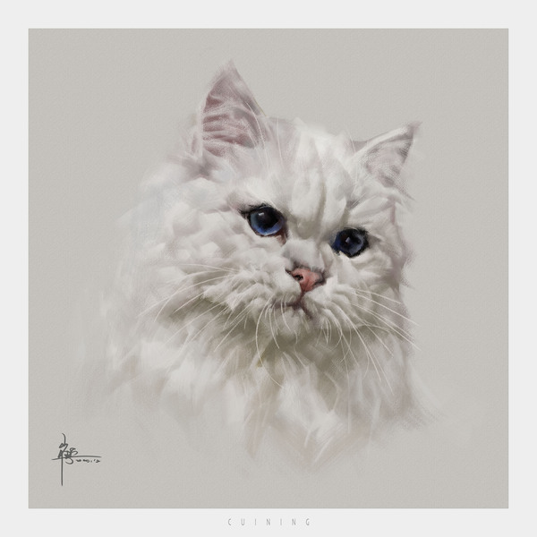 毛茸茸治愈——手绘可爱小动物