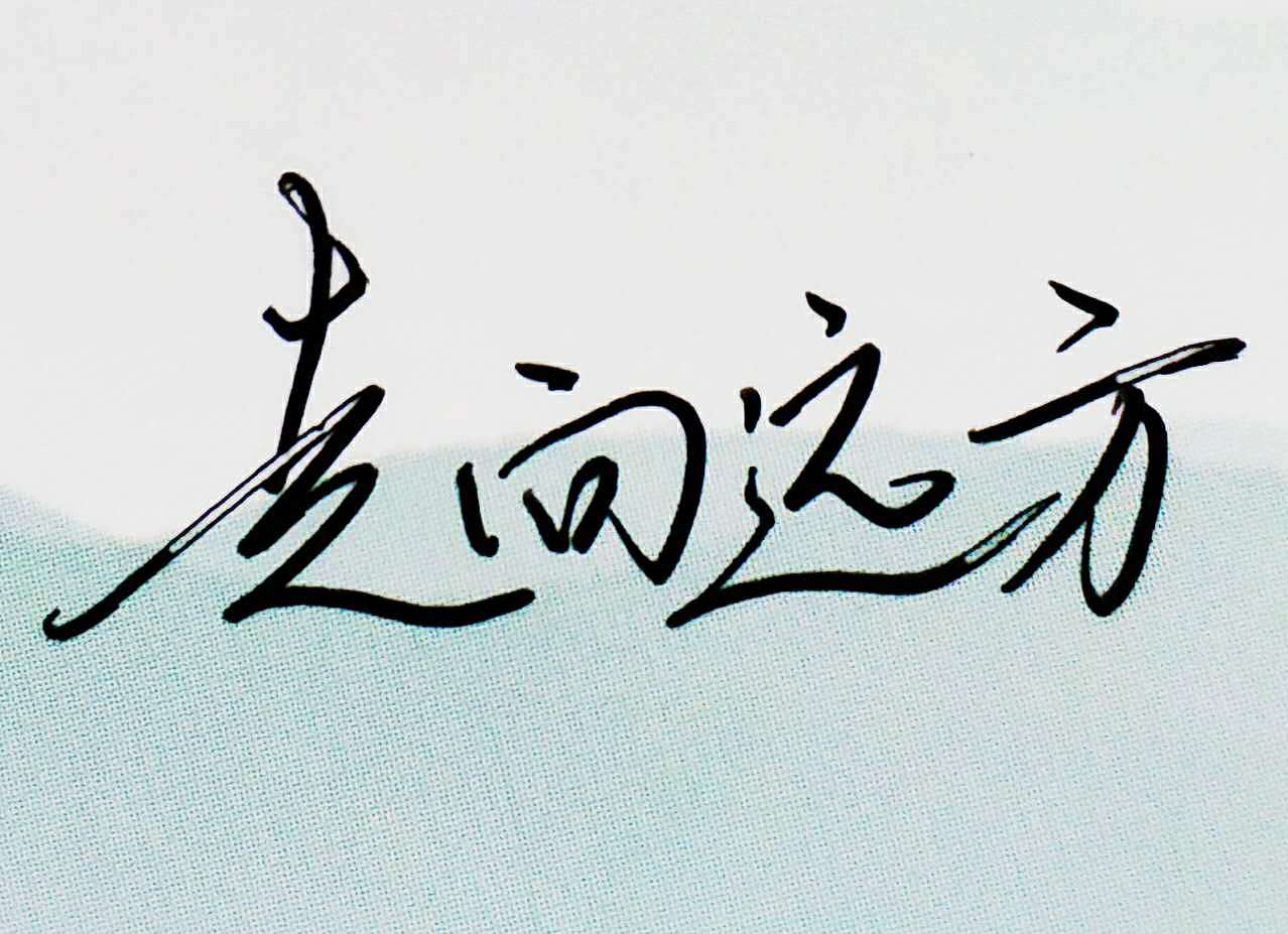 硬笔手写 笔尖上的躁动