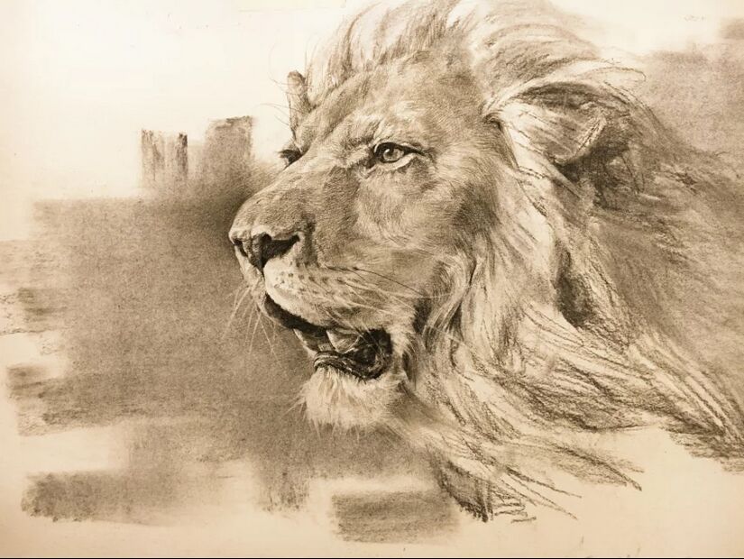 狮子石像素描图片