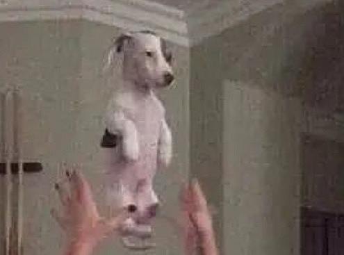 为什么要先占着？我也来吧（个人主页-ZNTY3MjM3NzY=） - 图案 - 站酷设计师绿皮猪原创素材 - 站酷ZCOOL