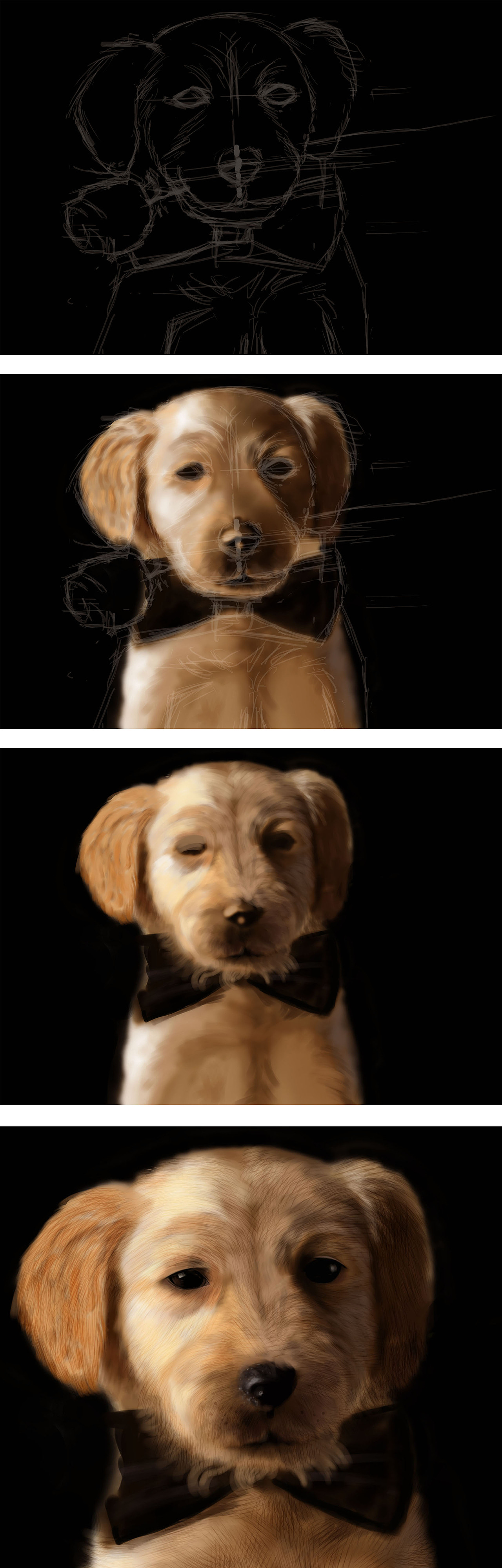 DOG（圖ZMTMxOTg1OTEy） - 創(chuàng)作習(xí)作 - 站酷設(shè)計(jì)師Carnys原創(chuàng)素材 - 站酷ZCOOL