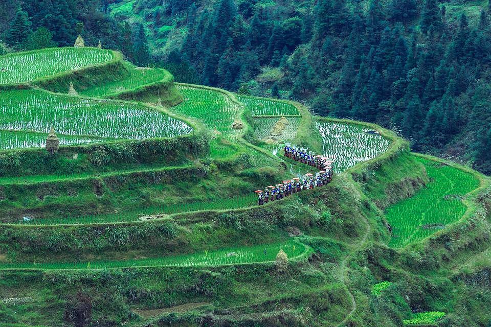 有一座与世无争的小村庄,叫白岩村