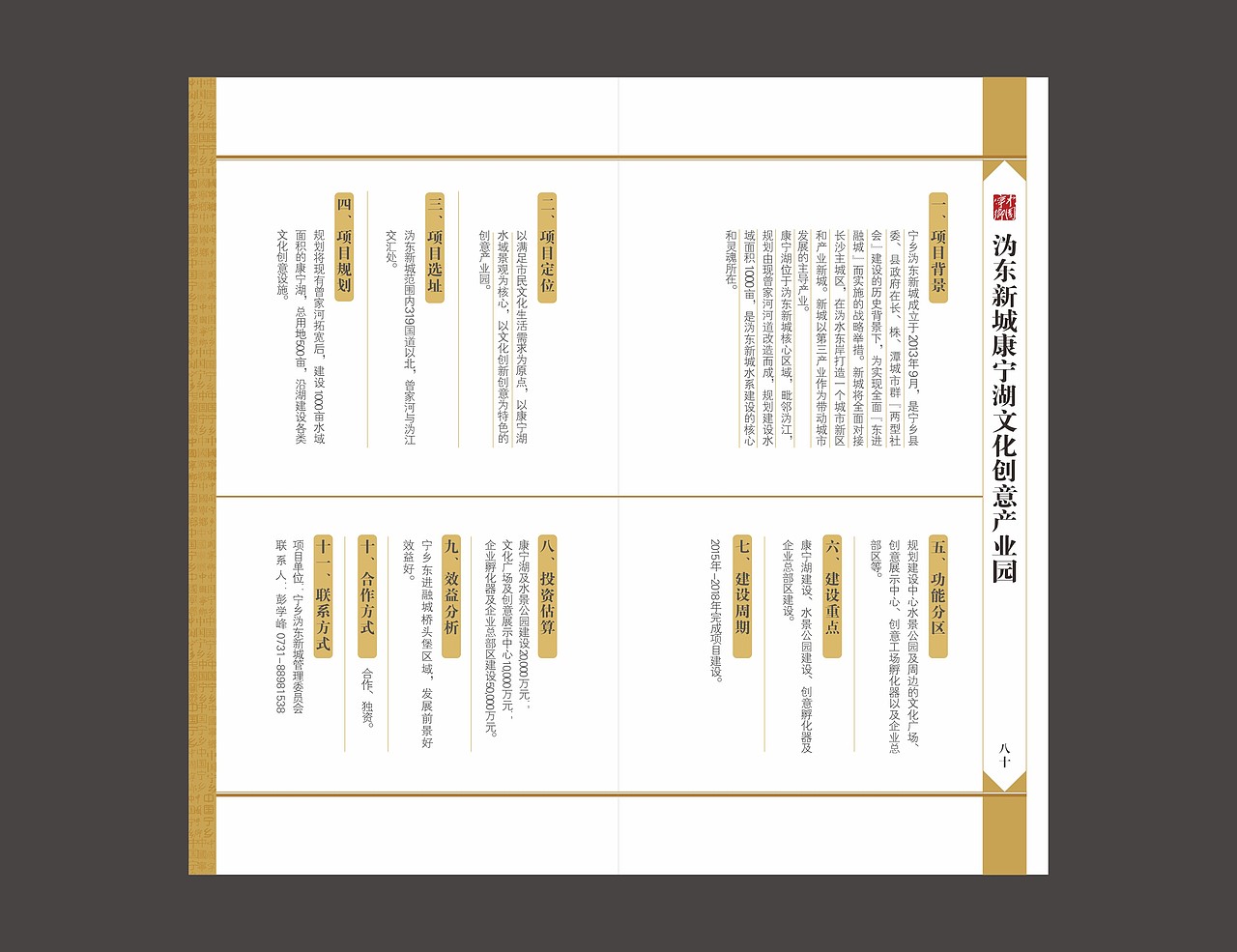 宁乡投融资手册（图ZNDA0NzI3NTY=） - 书籍/画册 - 站酷设计师fxy216ccc原创素材 - 站酷ZCOOL