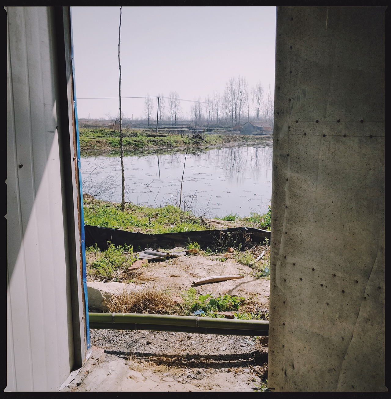 新冠期间的湖北