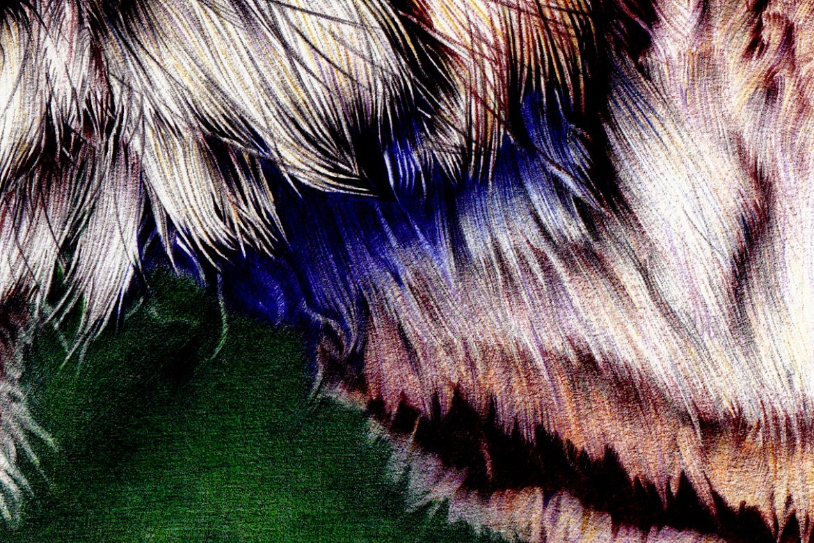 Y_Lovely 写实 绘老虎步骤纯彩色圆珠笔 狰 2014.12.25 雨天 毕（图ZMjMxNTc2NzY=） - 绘画 - 站酷设计师Y_Lovely原创素材 - 站酷ZCOOL