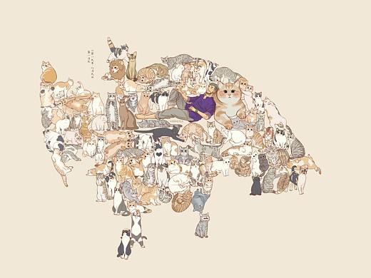 日常吸猫打卡第二年100天