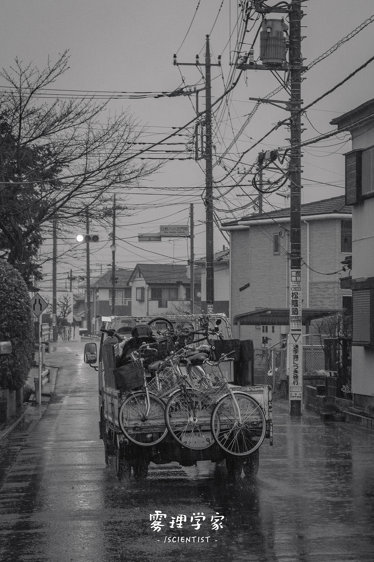 写真 | Photo | 雾里学家scientis | 1